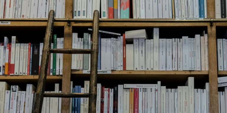 Wooden ladder leans against old wooden bookshelf in a library, implies inaccessibility