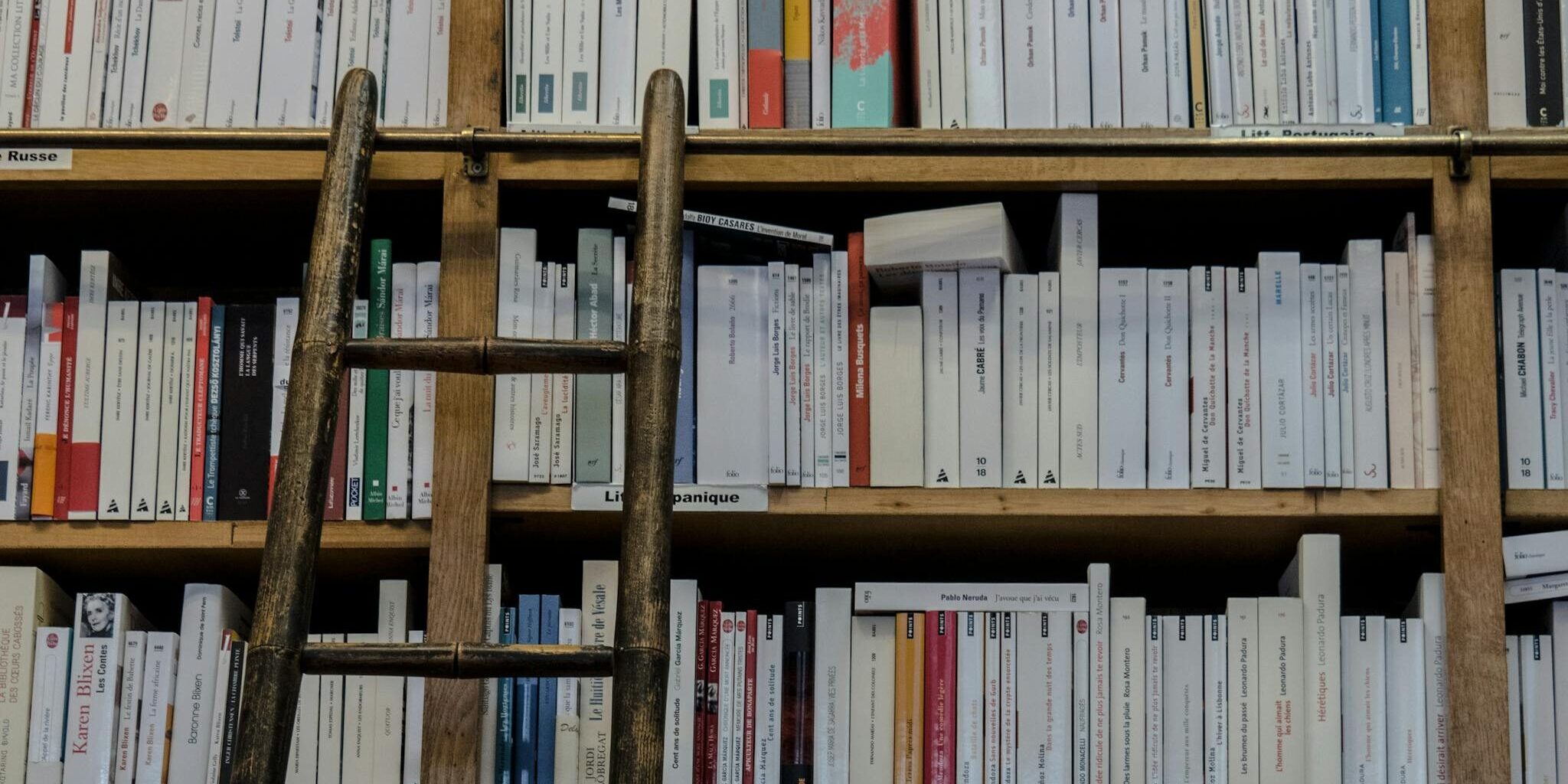 Wooden ladder leans against old wooden bookshelf in a library, implies inaccessibility