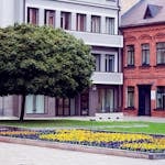 Green Leafy Tree in front of Red and Gray Concrete buildings with many doors