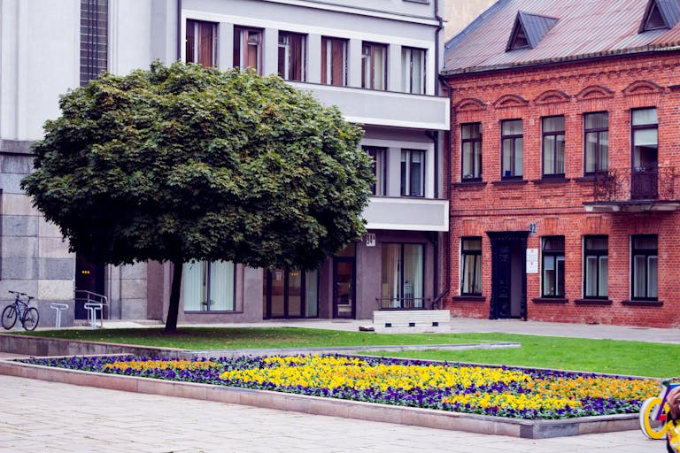 Green Leafy Tree in front of Red and Gray Concrete buildings with many doors