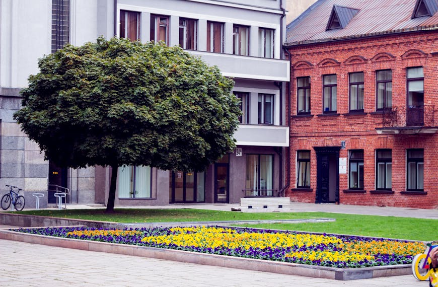 Green Leafy Tree in front of Red and Gray Concrete buildings with many doors
